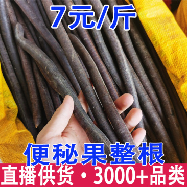 便秘果大解果云南腊肠树果奇异果挑选切段整根产地
