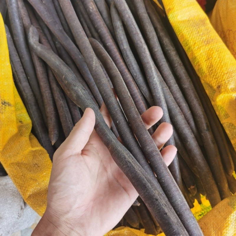 便秘果大解果云南腊肠树果奇异果挑选切段整根产地
