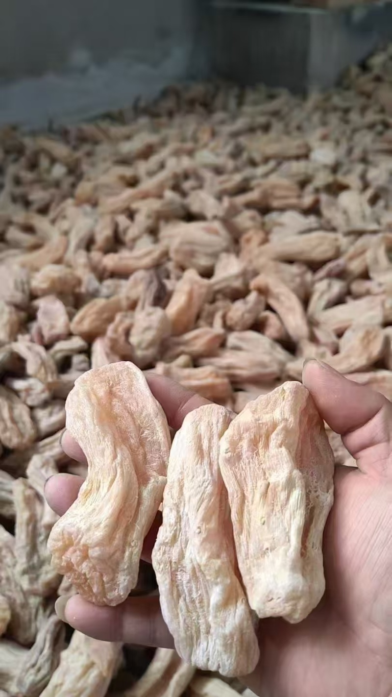仿天麻云南天麻昭通天麻芭蕉玉芭蕉芋大货批发