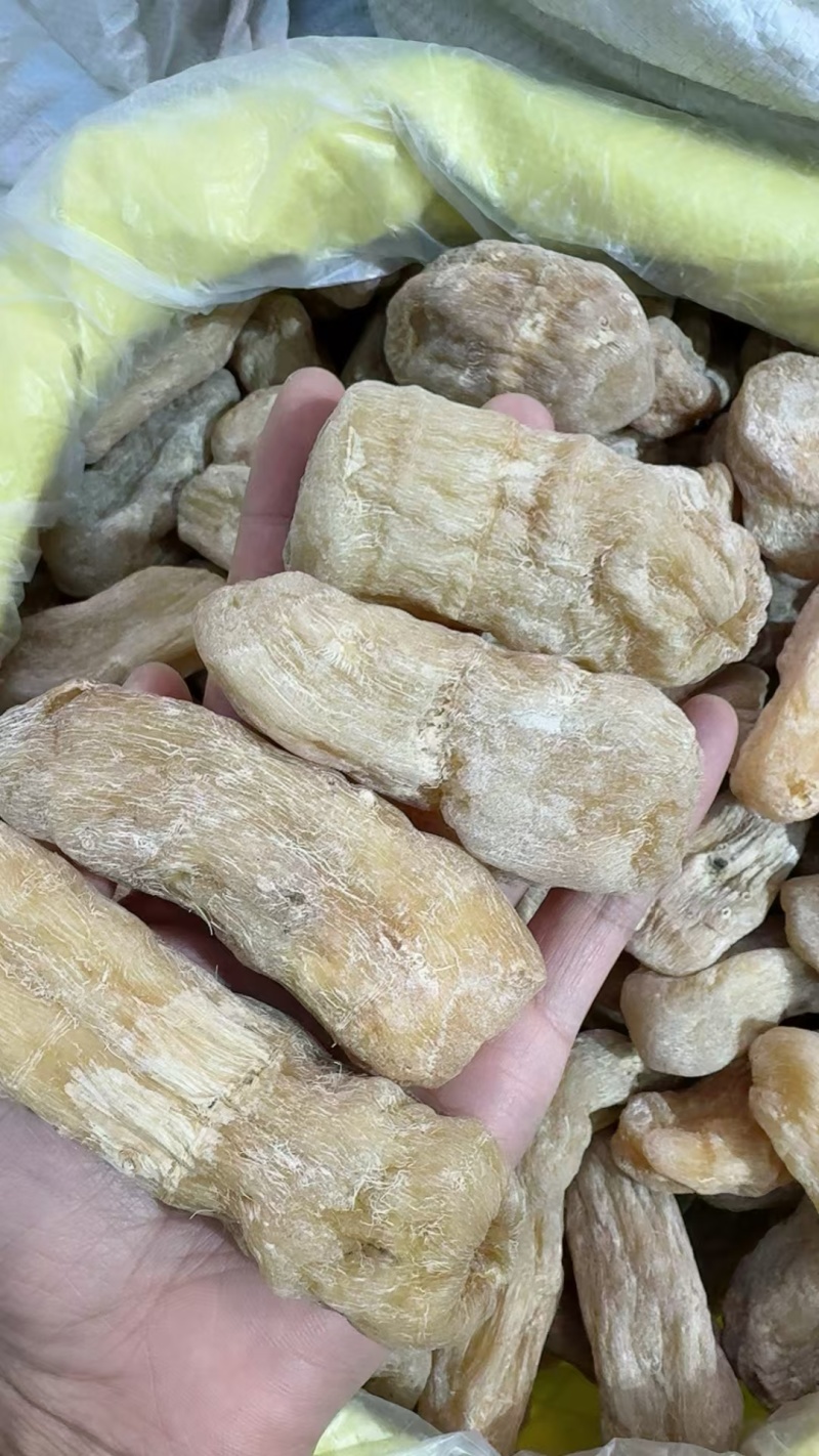 仿天麻云南天麻昭通天麻芭蕉玉芭蕉芋大货批发