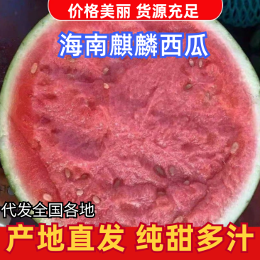 盐城大棚美都麒麟瓜皮薄肉甜实力发全国各商超市场