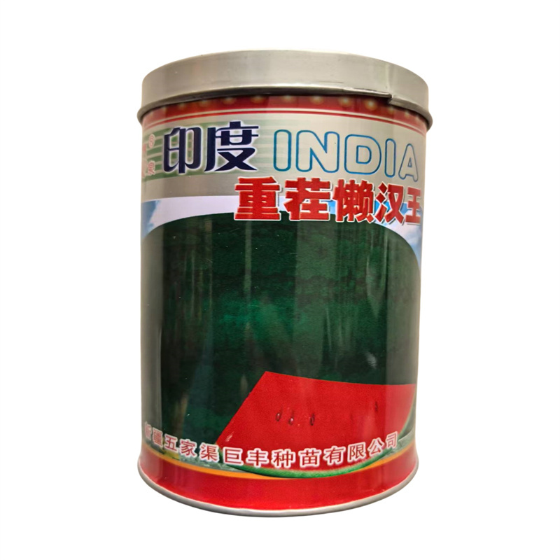 印度重茬懒汉王西瓜种子抗重茬大西瓜种子