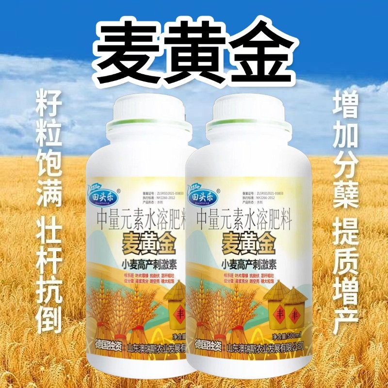 麦黄金增产肥小麦生根壮苗抗倒伏促分蘖灌浆增产增收叶面肥