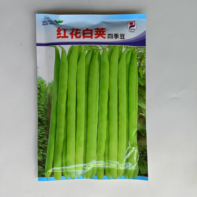 红花白荚四季豆种子农家高产无筋架豆早熟高产豆角蔬菜种