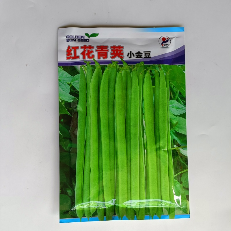 红花青荚小金豆四季豆种子农家高产无筋架豆早熟高产蔬菜种子