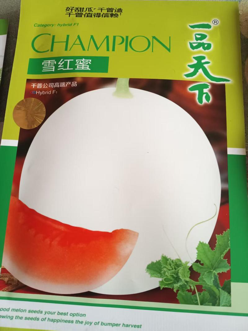 阎良甜瓜品种齐全货源充足稳定电商商超社团供货代发