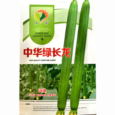 丝瓜种子特长丝瓜中华绿长龙强雌纤维少座果率高