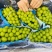 【诚信卖家】阳光玫瑰大量有货产地直发品质保证