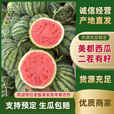 【优选】广东雷州二茬西瓜/有籽美都西瓜/专业验瓜师/视频