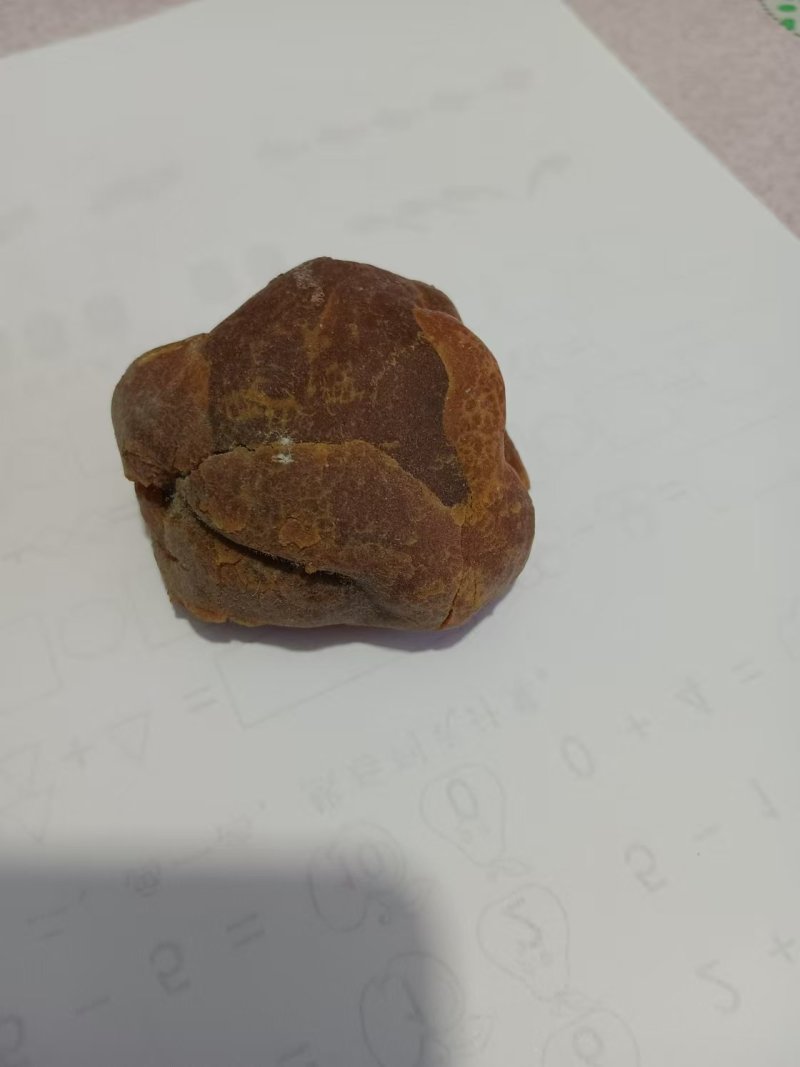 【鸡宝】自产自销量大质优价格优惠一手货源欢迎采购咨询