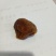 【鸡宝】自产自销量大质优价格优惠一手货源欢迎采购咨询