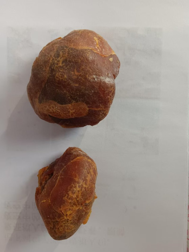 鸡宝精品鸡宝自产自销包邮支持视频看货价格可以商谈