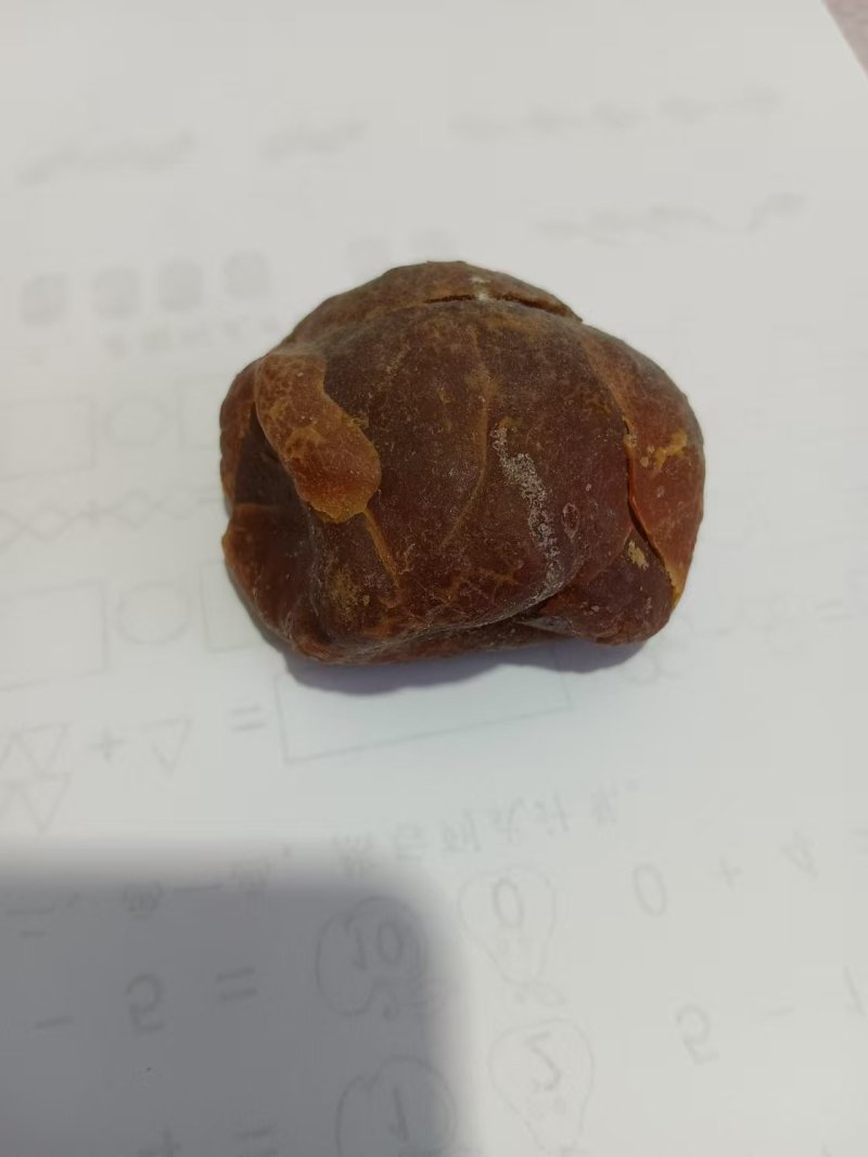 鸡宝精品鸡宝自产自销包邮支持视频看货价格可以商谈