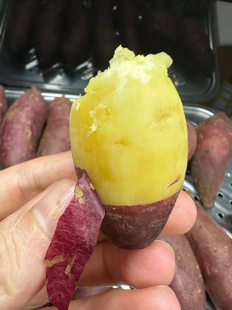 【一件代发】红薯蜜薯榴莲蜜薯产地直销量大质优价格优惠