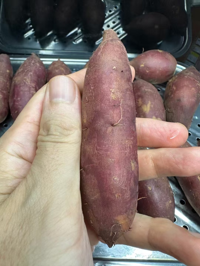 【一件代发】红薯蜜薯榴莲蜜薯产地直销量大质优价格优惠