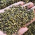 莲子芯批发莲子心一手货源量大价优对接实体批发零售