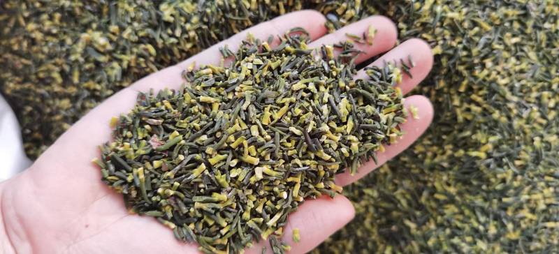 莲子芯批发莲子心一手货源量大价优对接实体批发零售