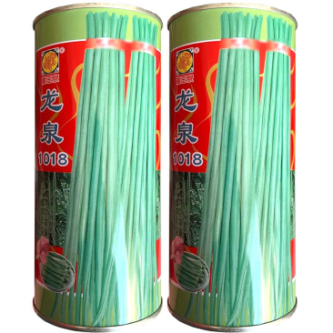 龙泉1018豇豆种子翠绿色长豆角种子嫩荚肉厚不鼓豆