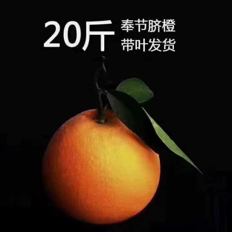 奉节脐橙一件代发产地直供品质保障对接电商批发