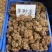 朱砂莲血菩提避蛇生朱砂莲血菩提避蛇生大货批发