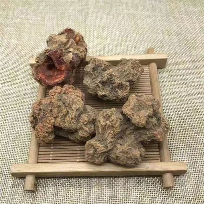 朱砂莲血菩提避蛇生朱砂莲血菩提避蛇生大货批发