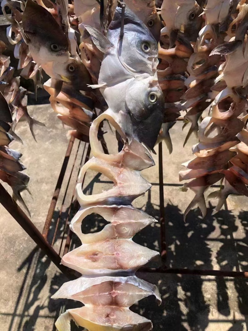 鱼干金鲳鱼干鲳鱼干7成干品质保证大量供应欢迎咨询