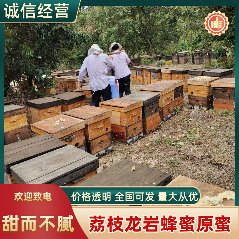 蜂蜜荔枝龙眼蜂蜜原蜜基地直发品质保证供应全国市场