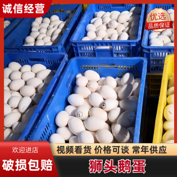 【精品鹅蛋】广东农批鹅蛋品质保证全国发货欢迎咨询