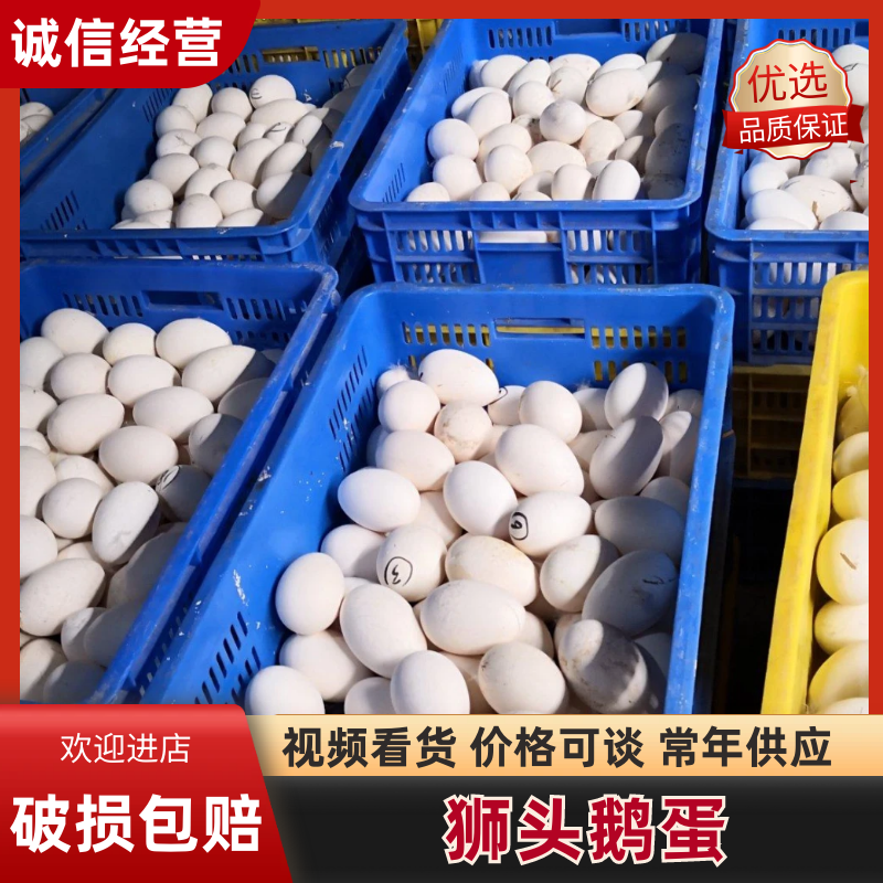 【精品鹅蛋】广东农批鹅蛋品质保证全国发货欢迎咨询