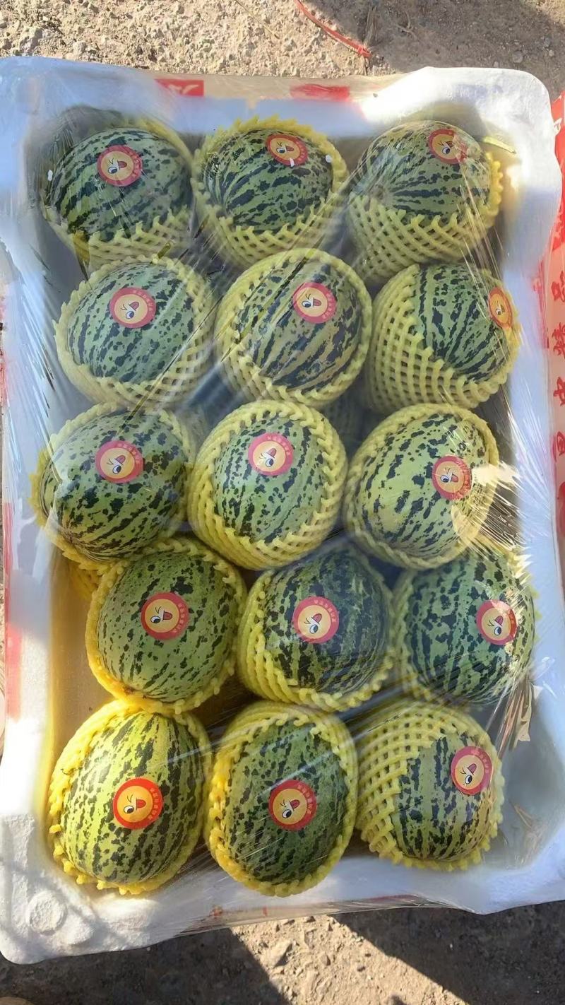 花蕾甜瓜，花美人，产地发货，现采现装新鲜包装