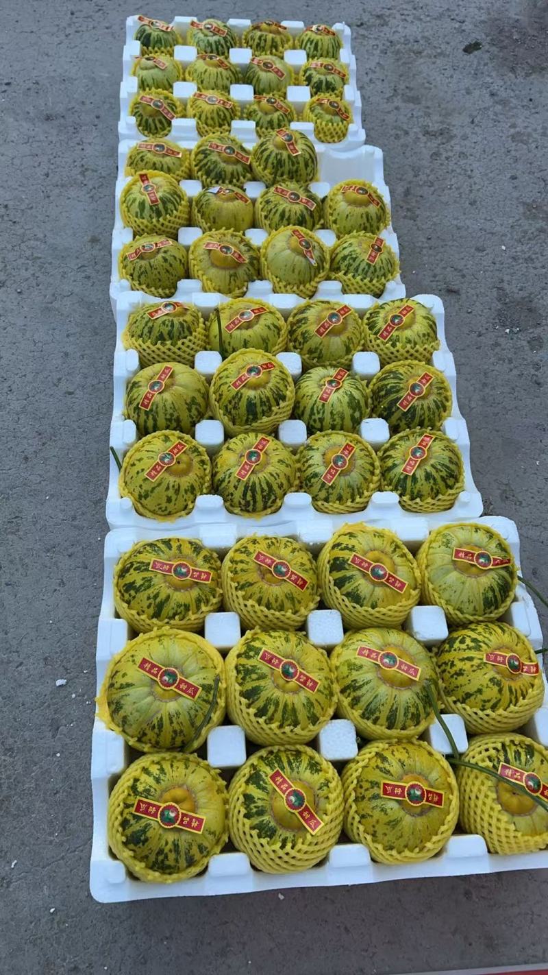 花蕾甜瓜，花美人，产地发货，现采现装新鲜包装
