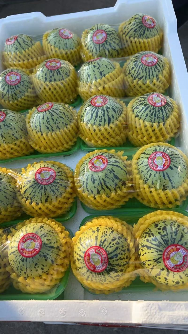花蕾甜瓜，花美人，产地发货，现采现装新鲜包装