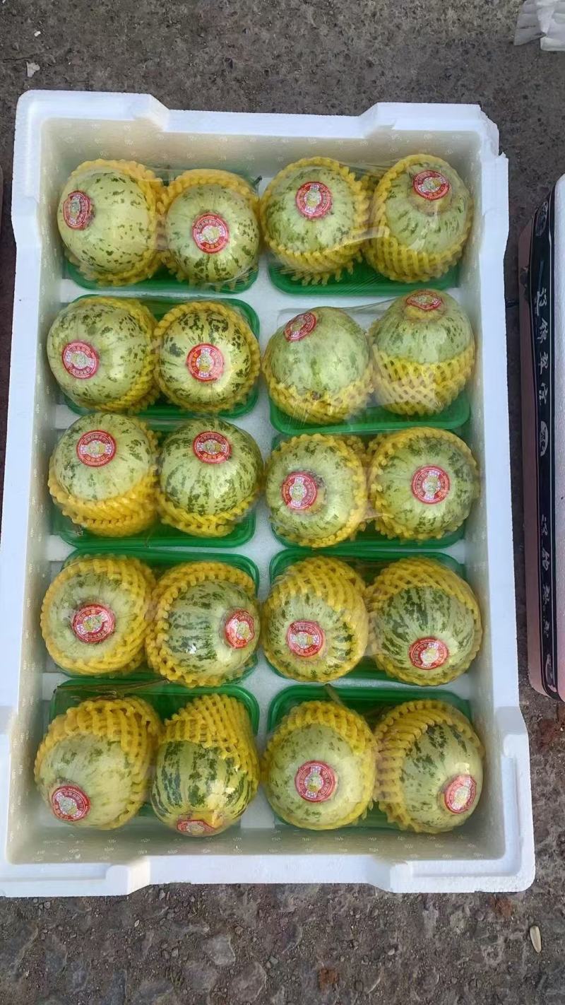 花蕾甜瓜，花美人，产地发货，现采现装新鲜包装