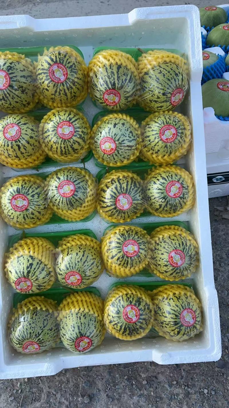 花蕾甜瓜，花美人，产地发货，现采现装新鲜包装