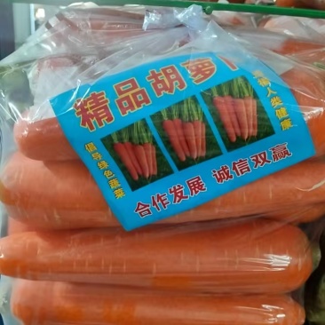 【精品】三红胡萝卜产地直发大量有货欢迎来电咨询