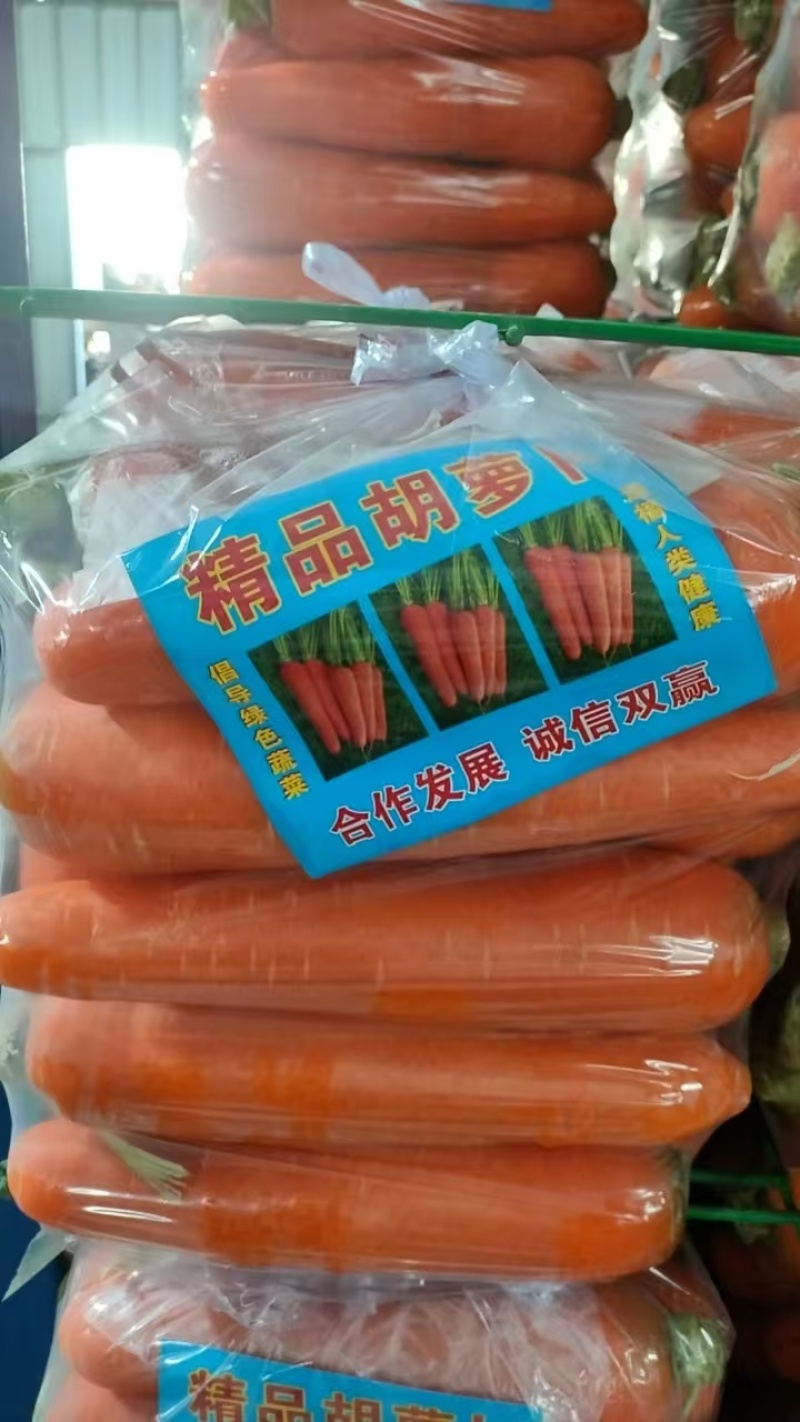【精品】三红胡萝卜产地直发大量有货欢迎来电咨询