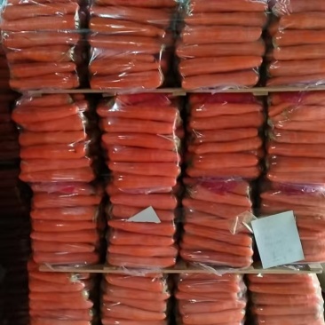 【诚信卖家】三红胡萝卜品质保证大量有货产地直发