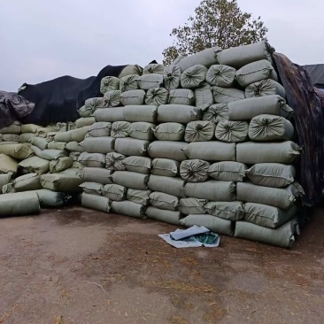 【牛商推荐】四川广安青储草料基地直发要量大可优惠