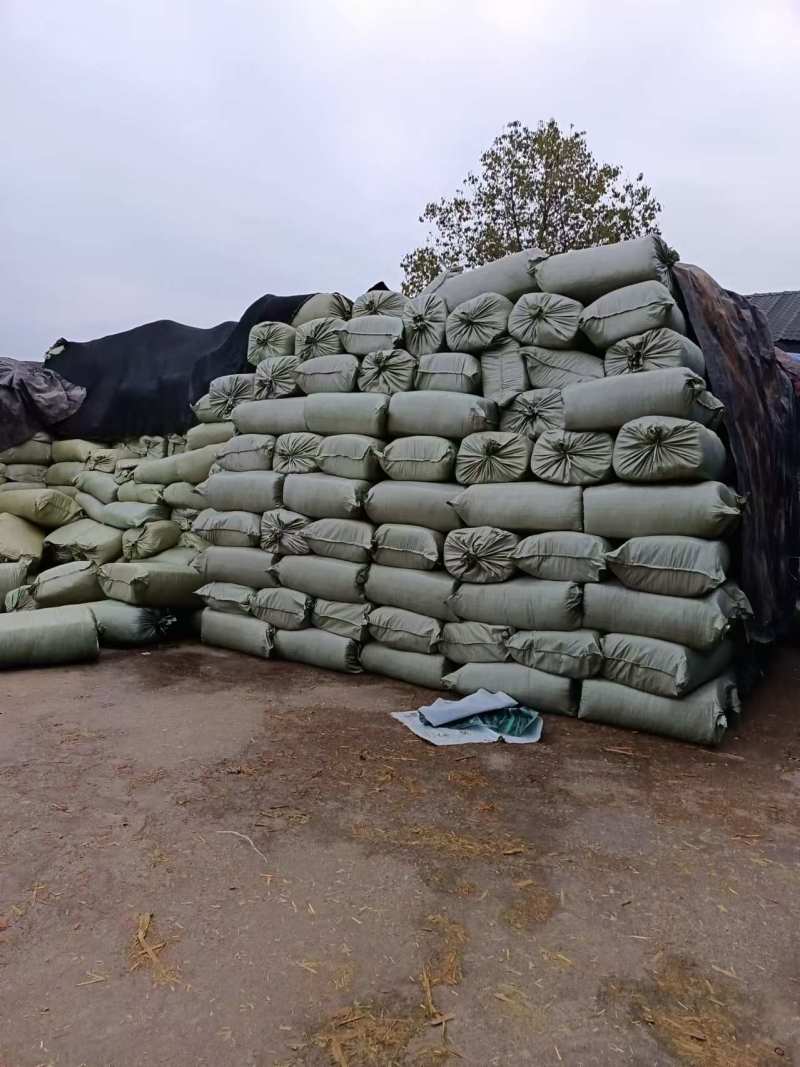 【牛商推荐】四川广安青储草料基地直发要量大可优惠