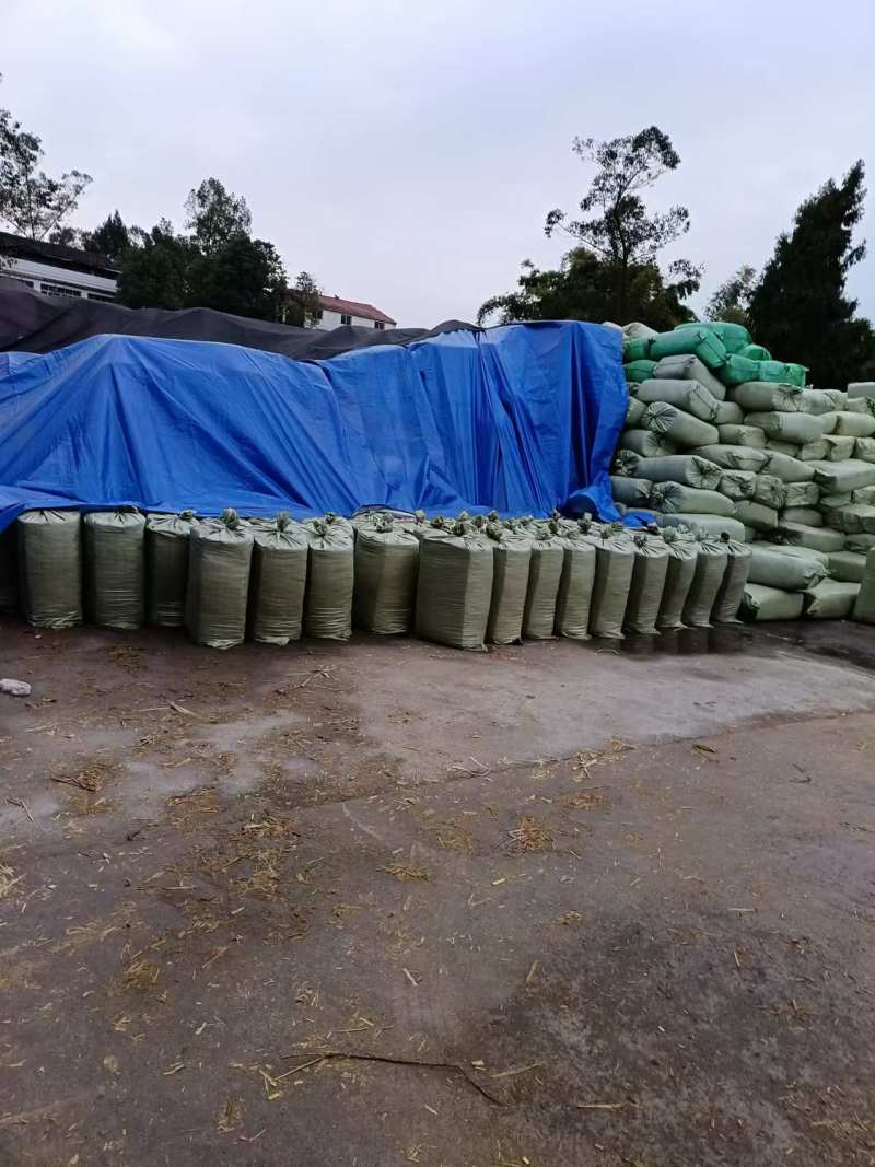 【牛商推荐】四川广安青储草料基地直发要量大可优惠