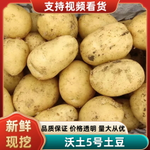 沃土5号精品河北土豆，大量现货，对接全国电商市场批发商