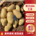 荷兰806土豆精品河北土豆，基地直发，欢迎来电洽谈合作