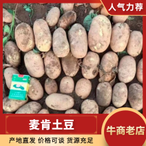 麦肯土豆（河北土豆）品质保证，对接全国电商市场批发商