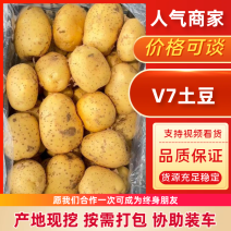 V7土豆河北土豆（规格齐全）品质保证代发全国