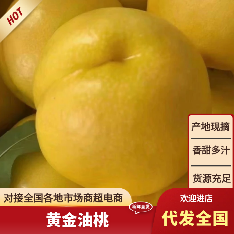 黄金油桃上市产地直发价格优惠支持视频看货品质保证