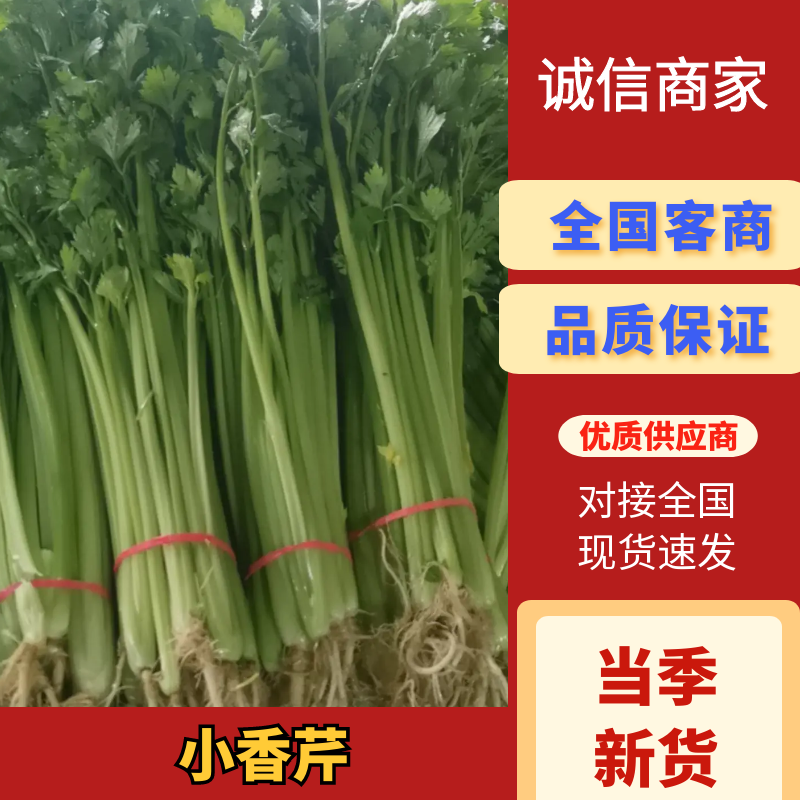 《香芹》莘县小芹菜/小香芹-对接全国电商.超市，耐运输保质量