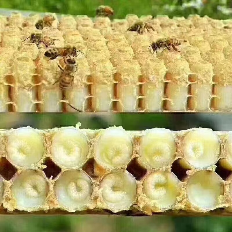 广东阳西县蜂王浆，自己蜂场，一手货源，欢迎来电咨询