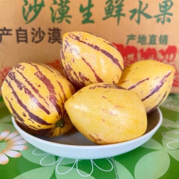 【大量有货】甘肃民勤人参果品质保证一年代发欢迎咨询