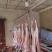 山羊肉厂家直销量大质优支持视频看货一手货源欢迎采购