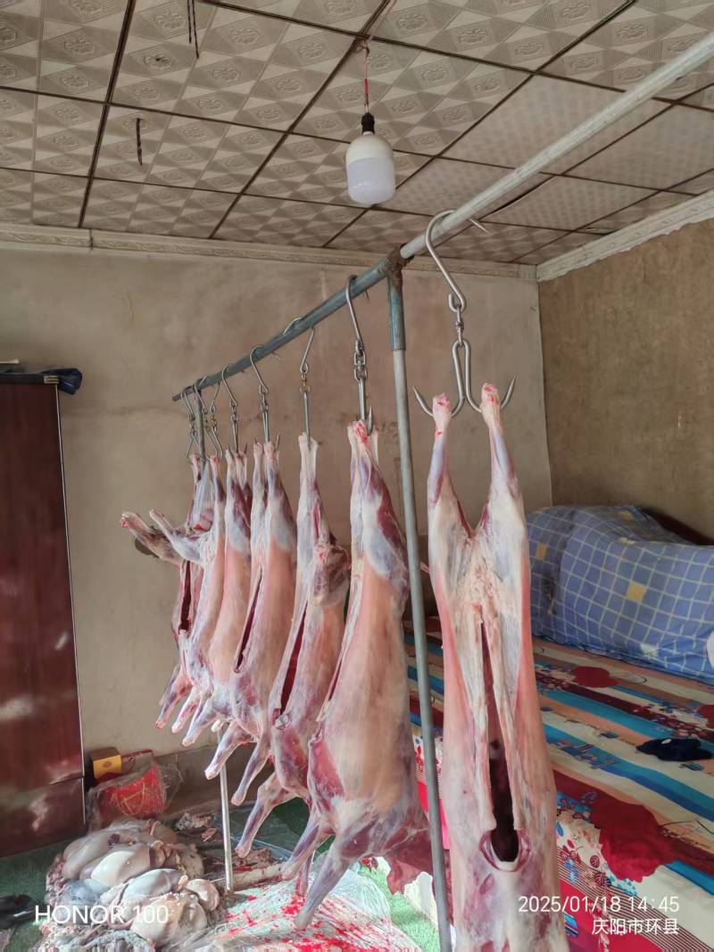 山羊肉厂家直销量大质优支持视频看货一手货源欢迎采购